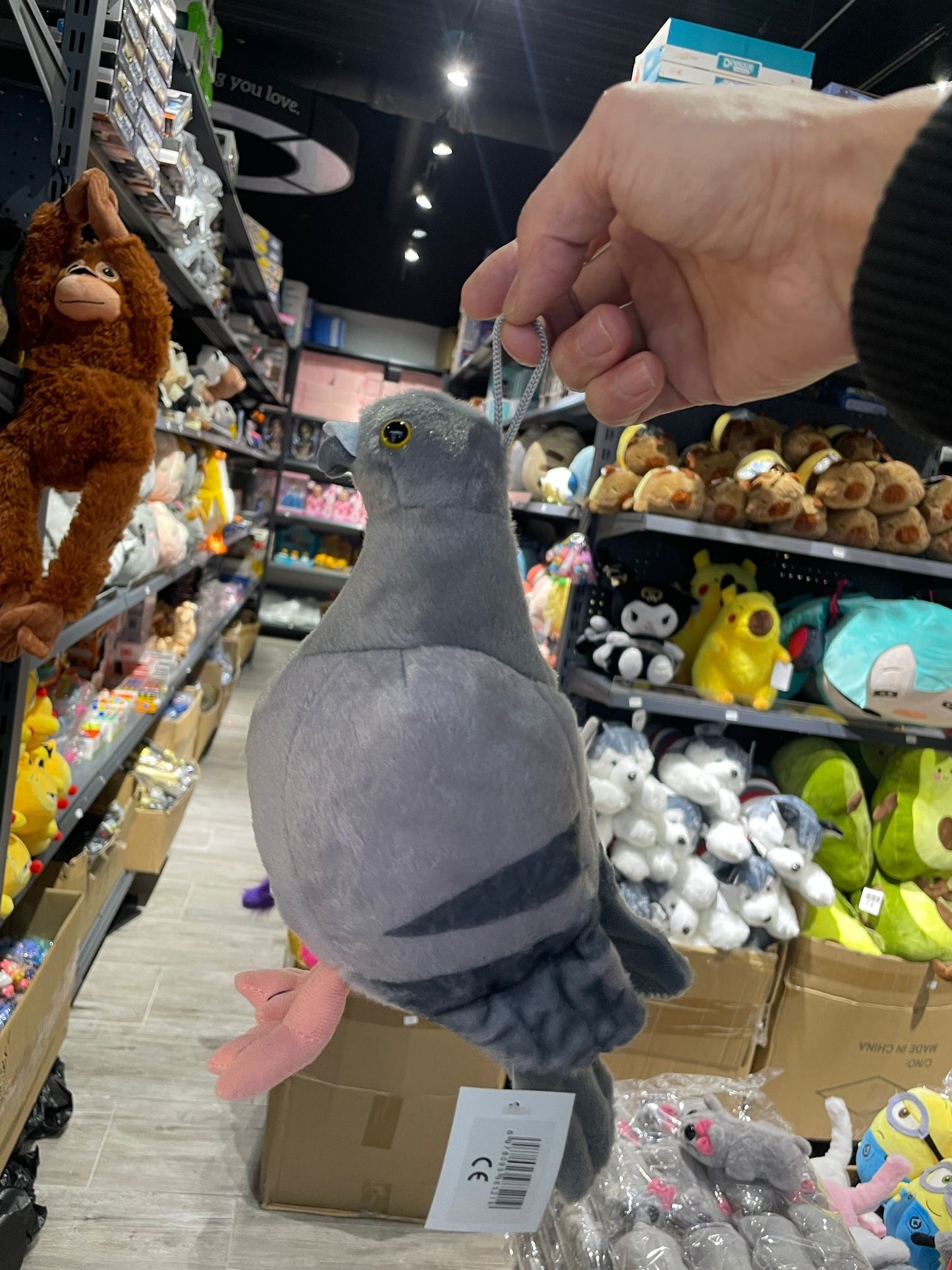 Maskotka Pluszowy Gołąb Pluszak Ptak Gołąbek 20cm