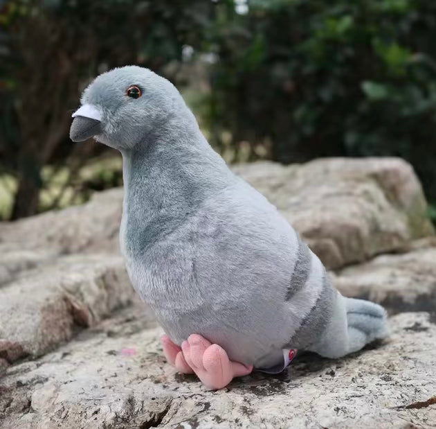 Maskotka Pluszowy Gołąb Pluszak Ptak Gołąbek 20cm