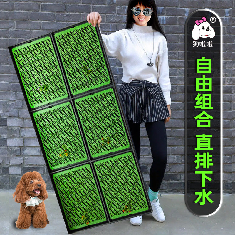 Spłukiwana toaleta dla psa – bezpośredni odpływ do kanalizacji