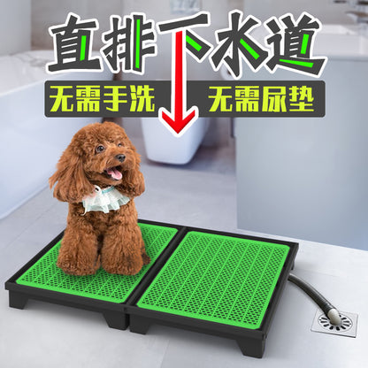 Spłukiwana toaleta dla psa – bezpośredni odpływ do kanalizacji