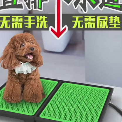 Spłukiwana toaleta dla psa – bezpośredni odpływ do kanalizacji